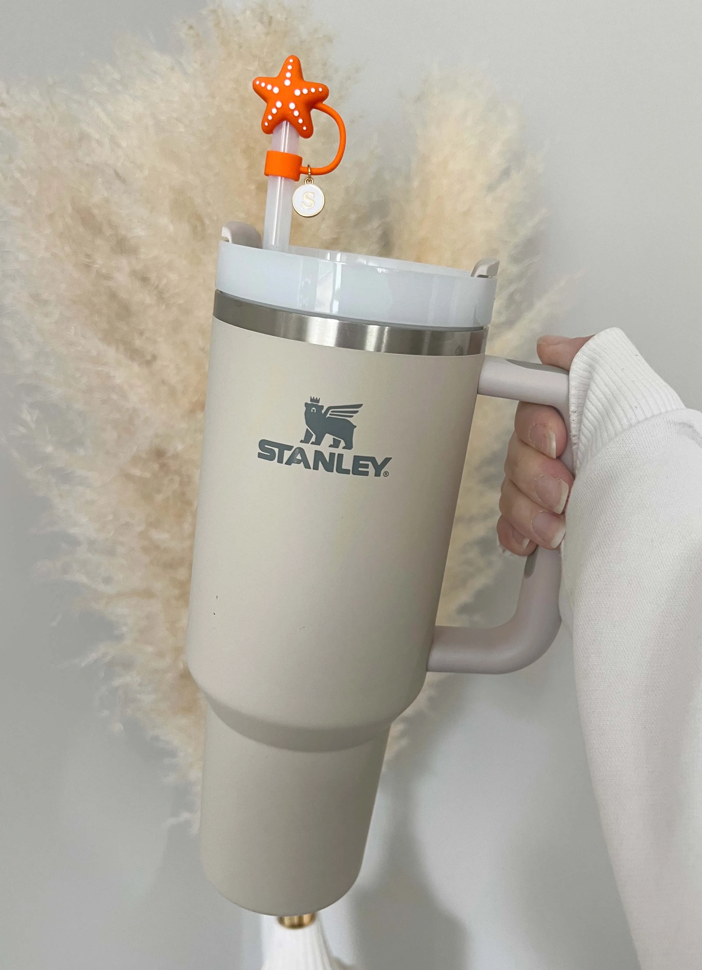 Straw Cover Sea Animals